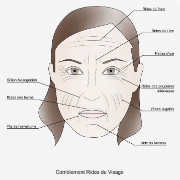 Rides du lion + 1 zone (-20%)