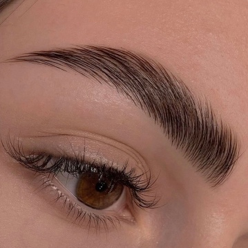 Browlift + teinture + épilation