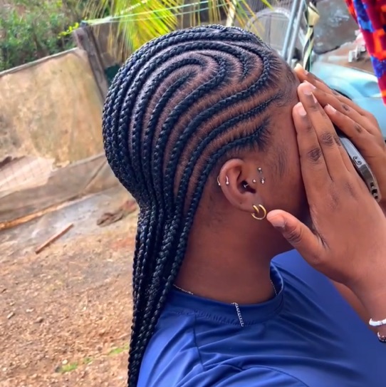 Cornrows braids